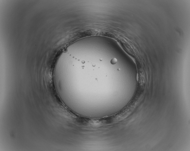 X0000111900613200908031118