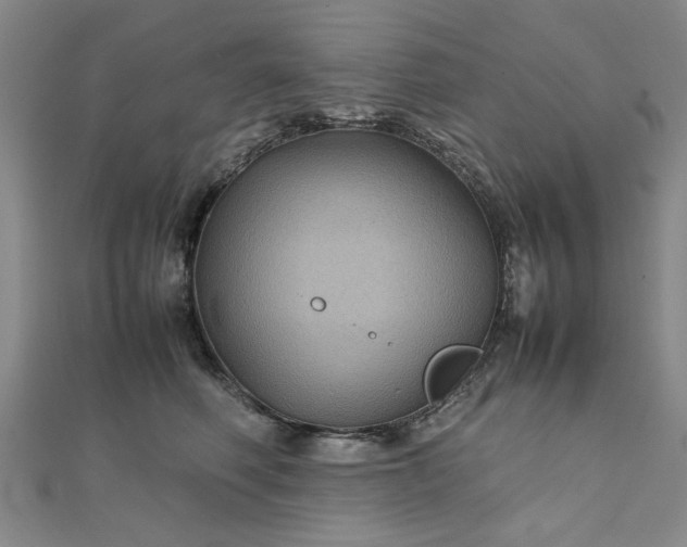 X0000111900614200908031118