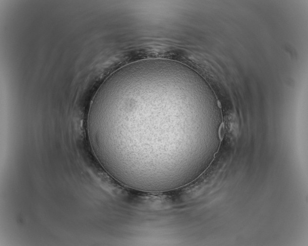 X0000111900615200908031118