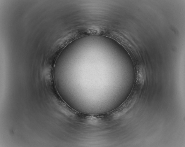 X0000111900616200908031118