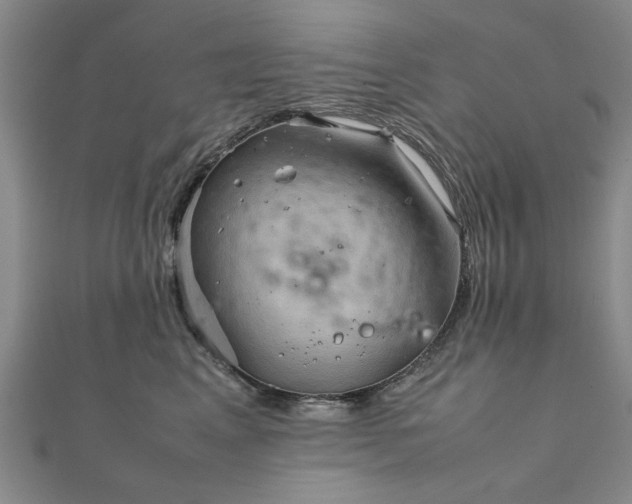 X0000111900617200908031118