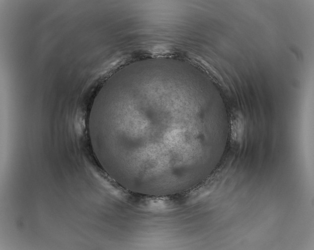 X0000111900618200908031118