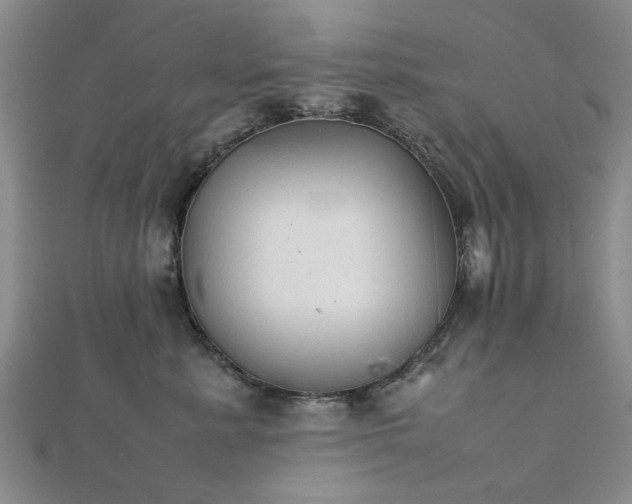 X0000111900619200908031118