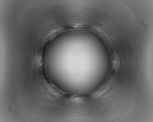 X0000111900620200908031118