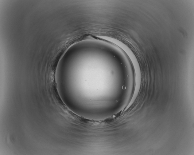 X0000111900621200908031118