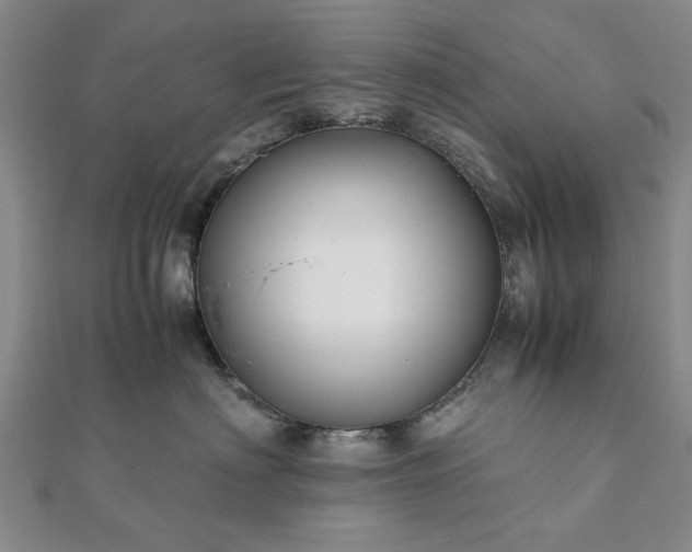 X0000111900622200908031118