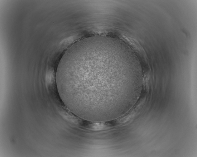 X0000111900623200908031118