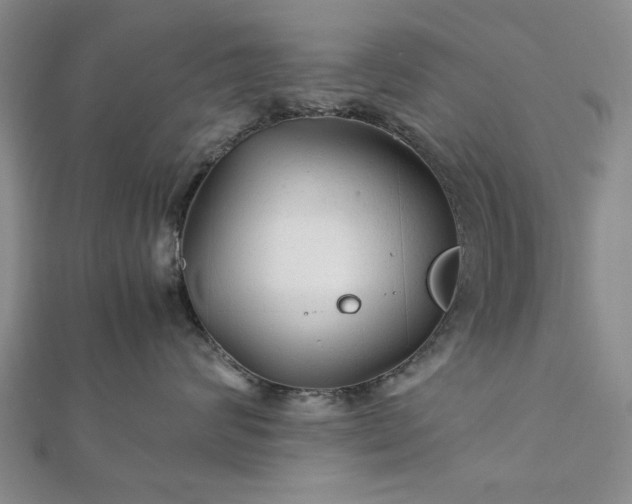 X0000111900624200908031118