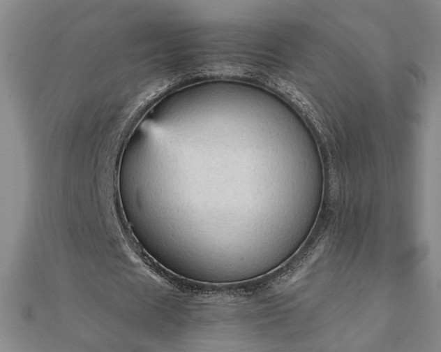 X0000111900625200908031117