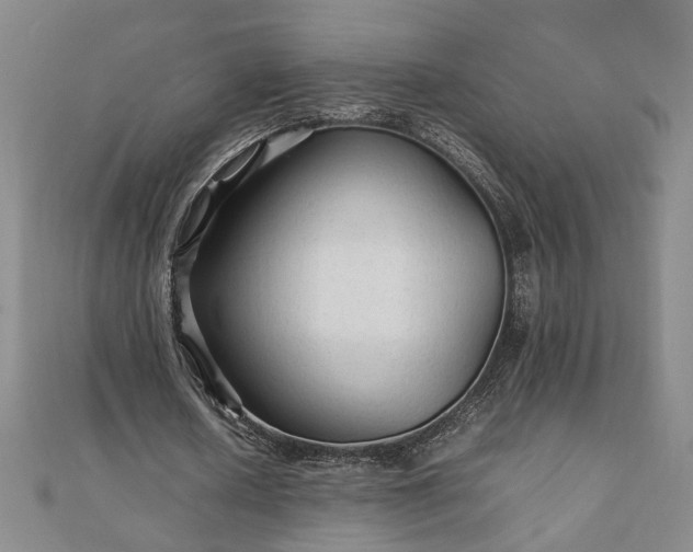 X0000111900626200908031117