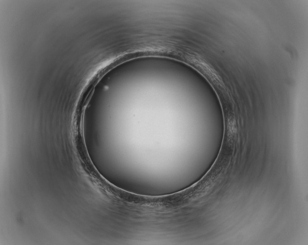 X0000111900628200908031117