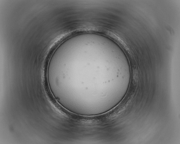 X0000111900629200908031118