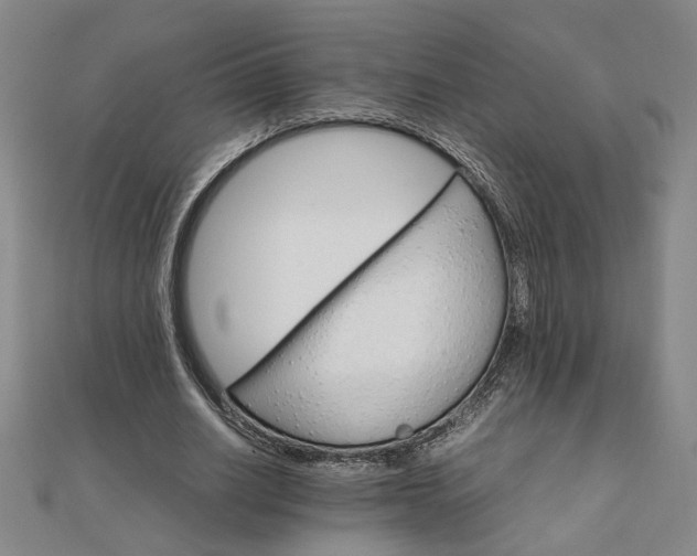 X0000111900630200908031118