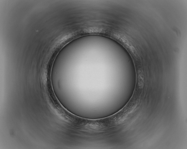 X0000111900631200908031118