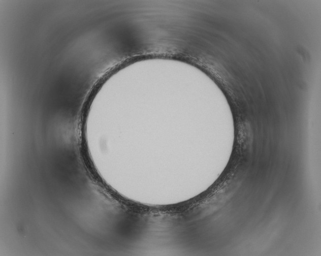 X0000111900632200908031118