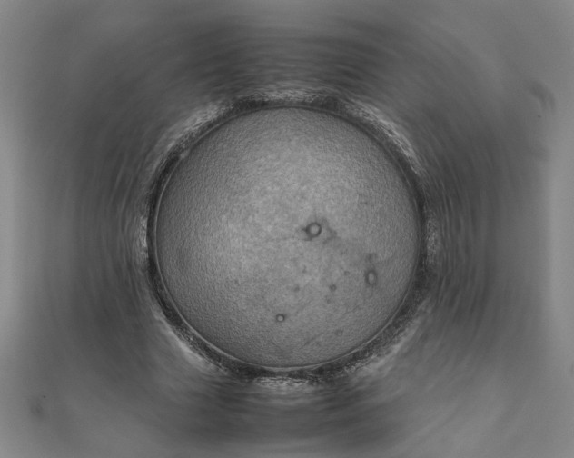 X0000111900633200908031118