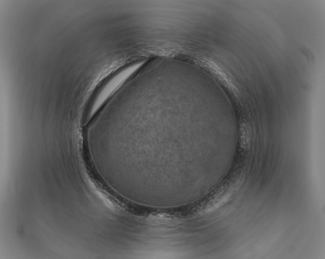 X0000111900634200908031118