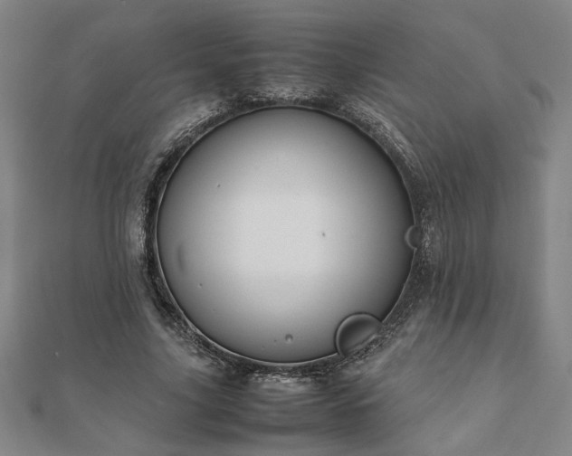 X0000111900635200908031118