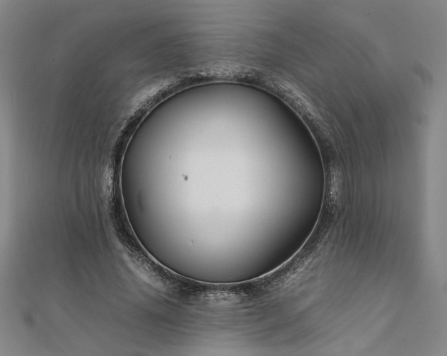 X0000111900636200908031118