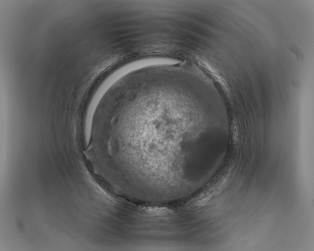 X0000111900637200908031118