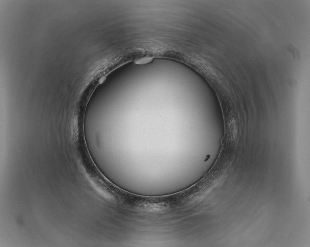 X0000111900638200908031118