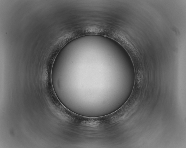 X0000111900639200908031118