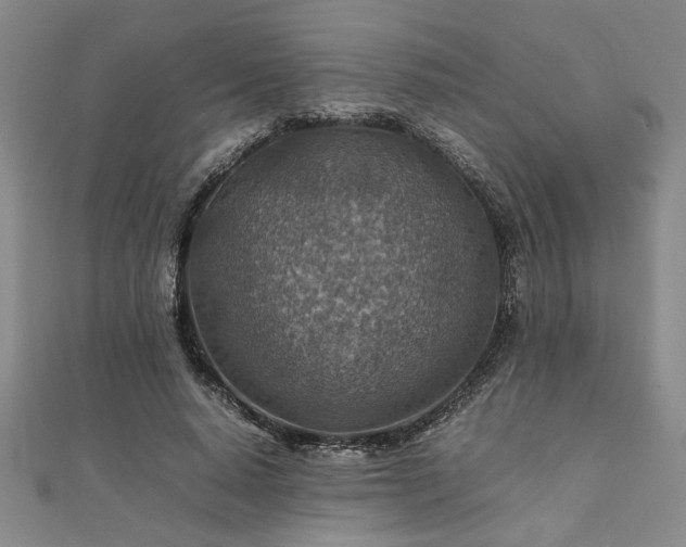 X0000111900640200908031118