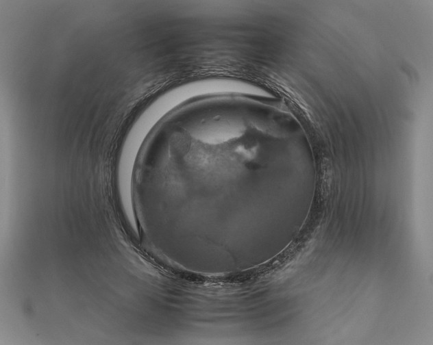 X0000111900641200908031118