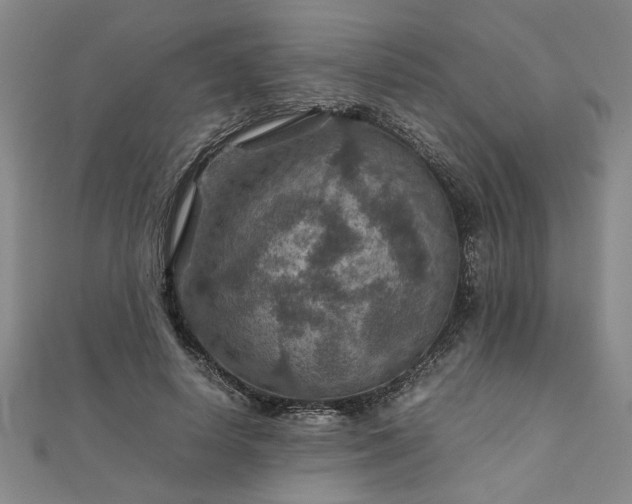 X0000111900642200908031118