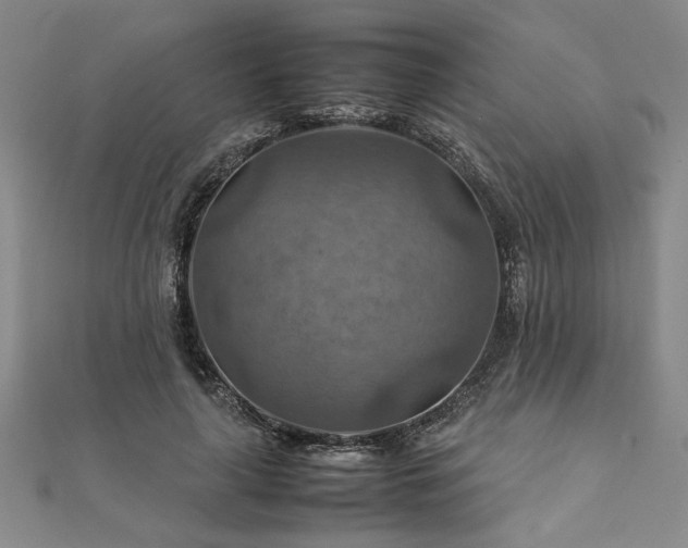 X0000111900643200908031118