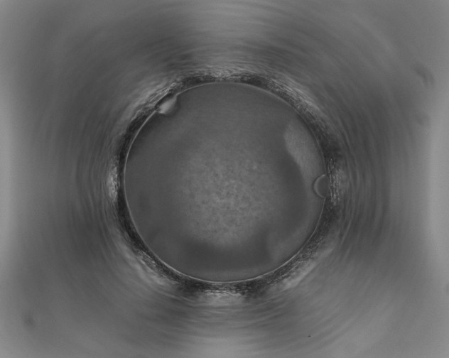 X0000111900644200908031118