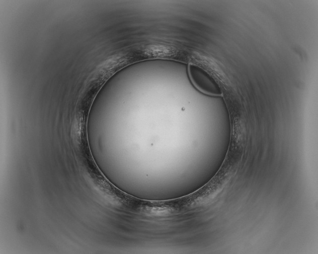 X0000111900645200908031118