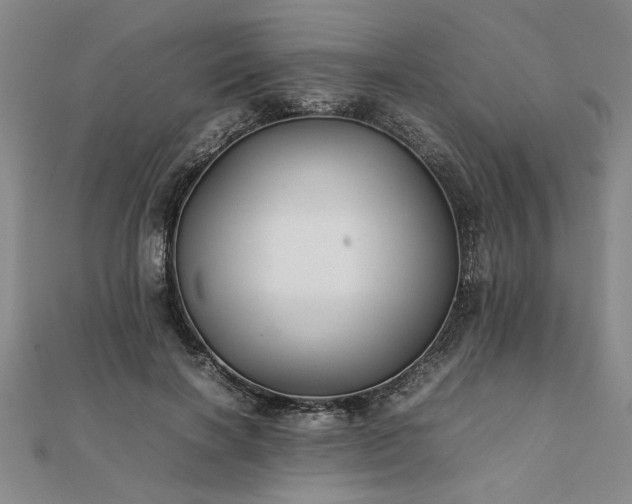 X0000111900646200908031118