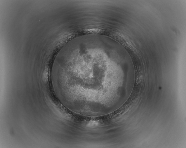 X0000111900647200908031118