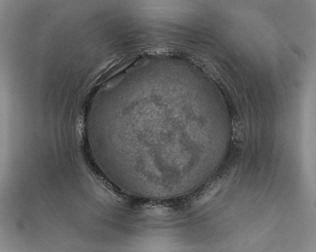 X0000111900648200908031118