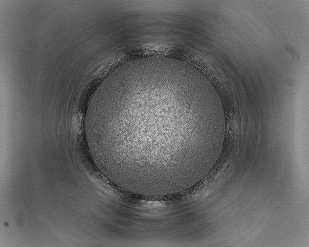 X0000111900649200908031118