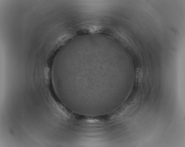 X0000111900650200908031118