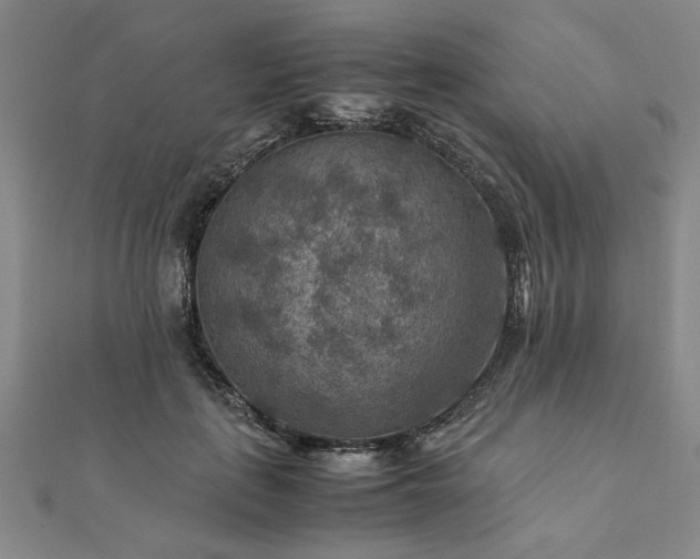 X0000111900651200908031118