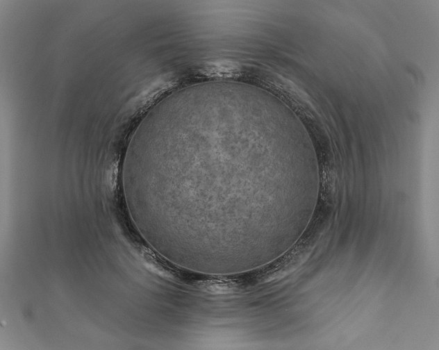 X0000111900652200908031118