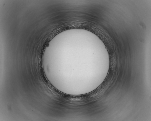 X0000111900653200908031118