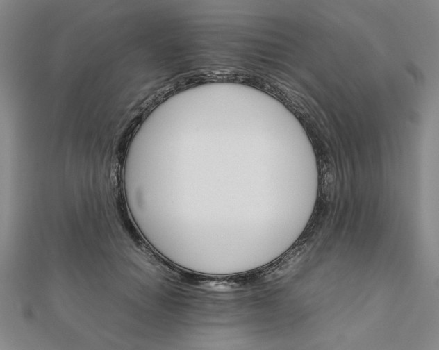 X0000111900654200908031118