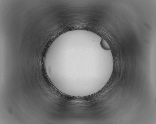 X0000111900655200908031118