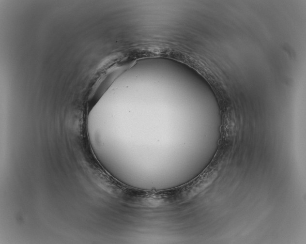 X0000111900656200908031118