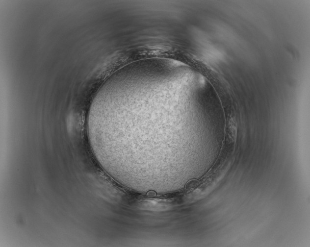 X0000111900657200908031118