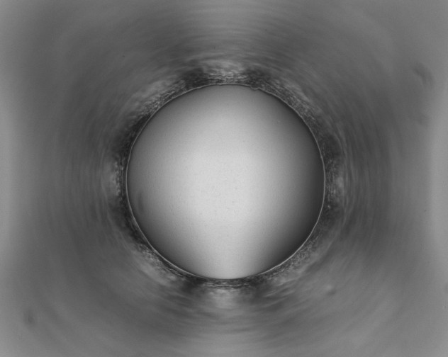 X0000111900658200908031118