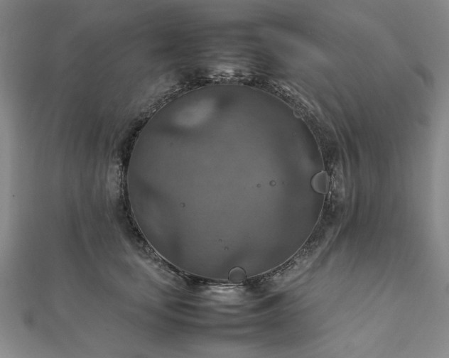 X0000111900659200908031118