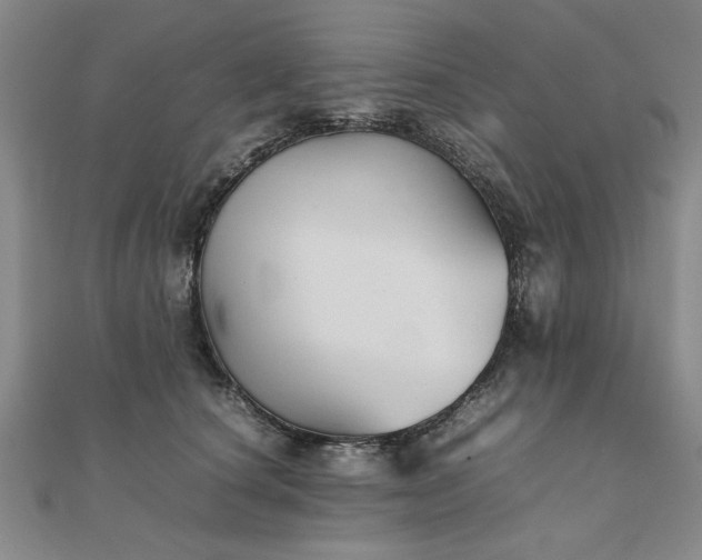 X0000111900660200908031118