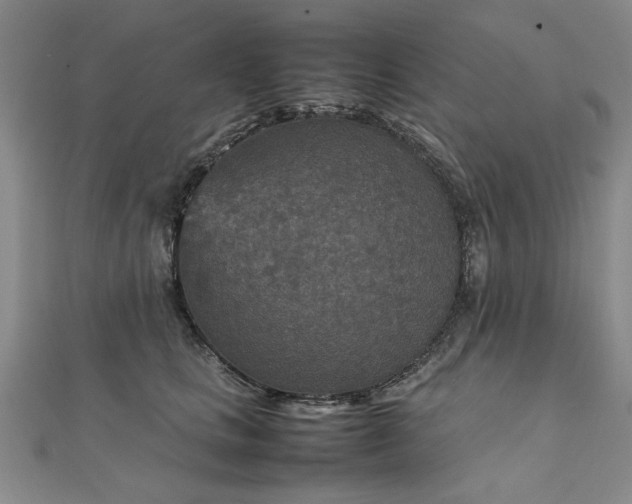 X0000111900661200908031118