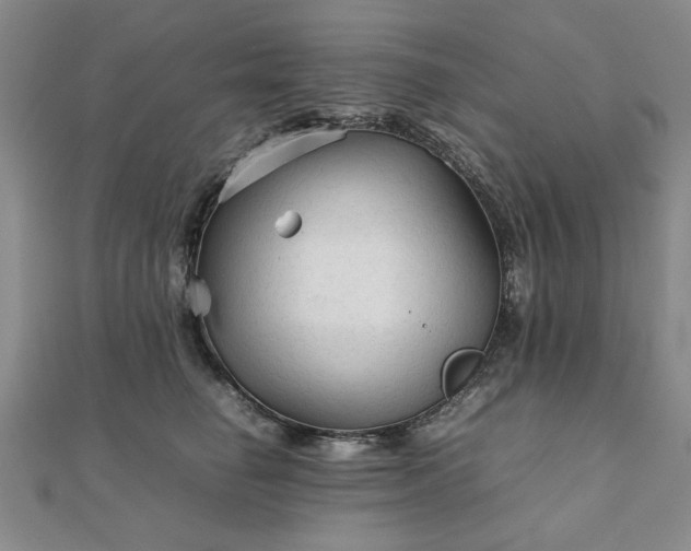 X0000111900662200908031118