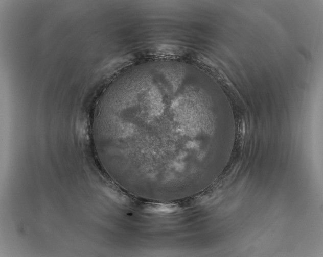 X0000111900663200908031118